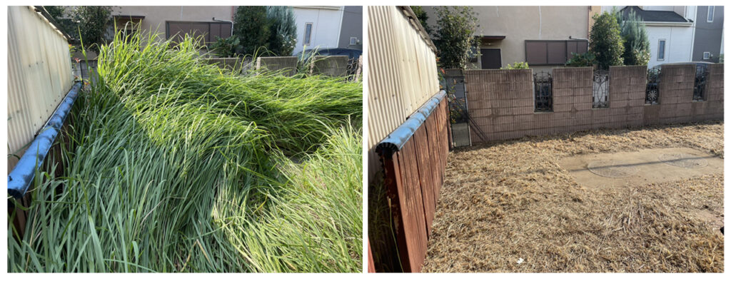 草刈りで見違えるようになる