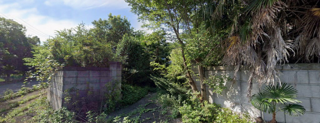 木々も雑草も伸び放題